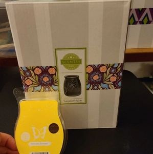 Scentsy Summer Nights Warmer and Welcome, Summer